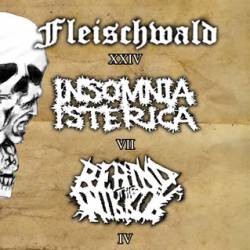 Fleischwald - Insomnia Isterica - Behind The Mirror